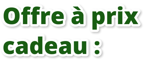 Offre à prix cadeau :