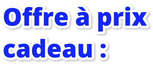 Offre à prix cadeau :